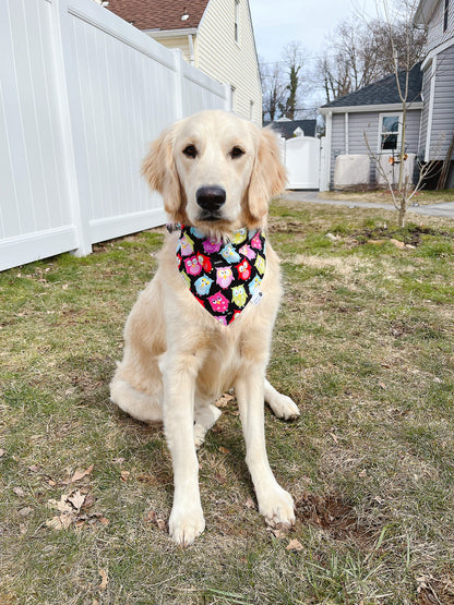 Cute Snoozy Owl Bandana