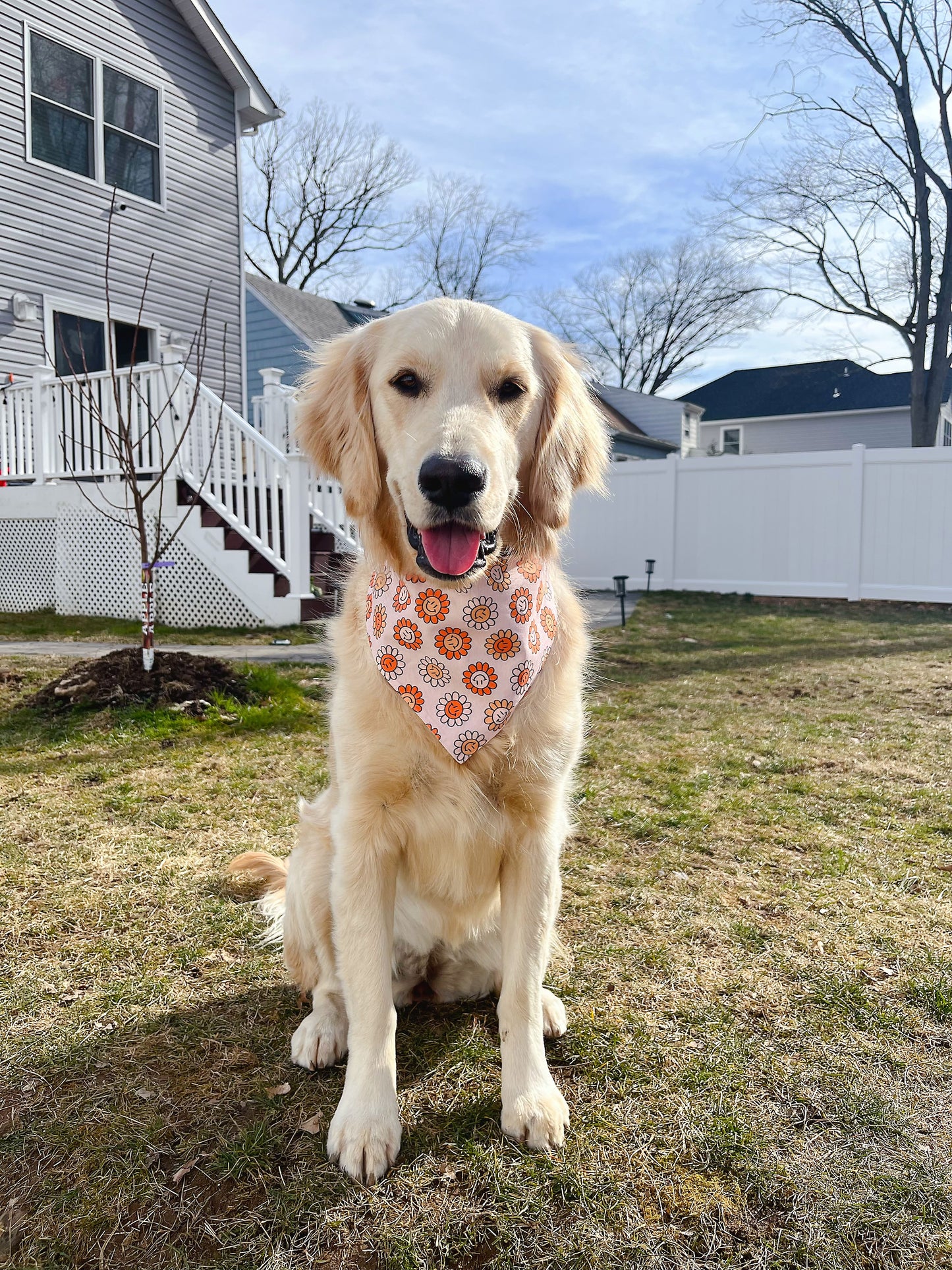 Smiley Daisy and Sunny Mood Bandana