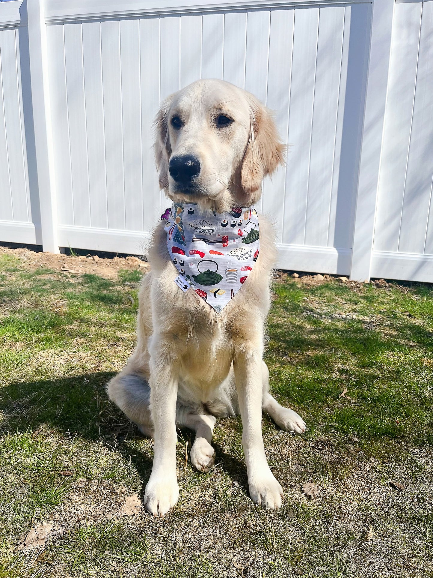 Sushi Feast Bandana