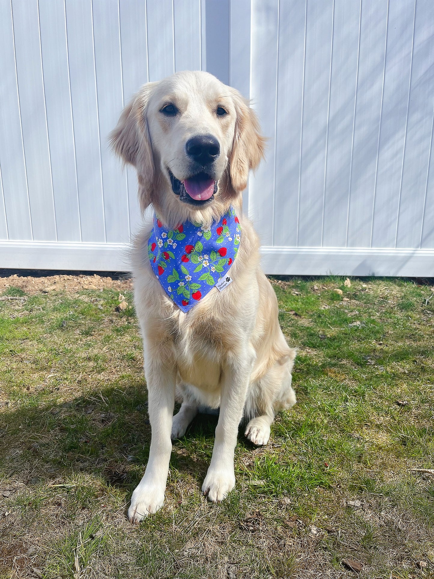 Strawberry and Lemon Vines Bandana