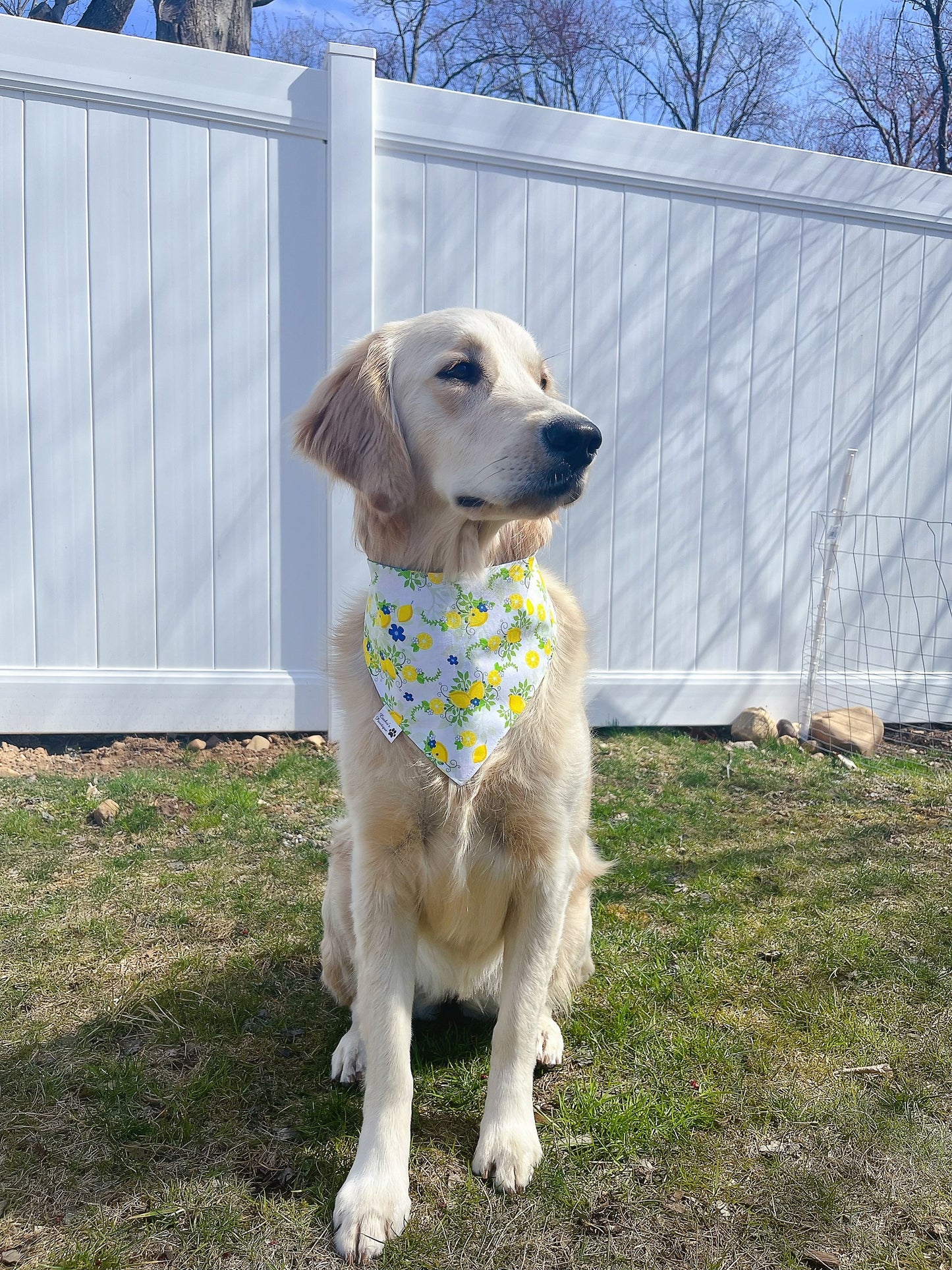 Strawberry and Lemon Vines Bandana