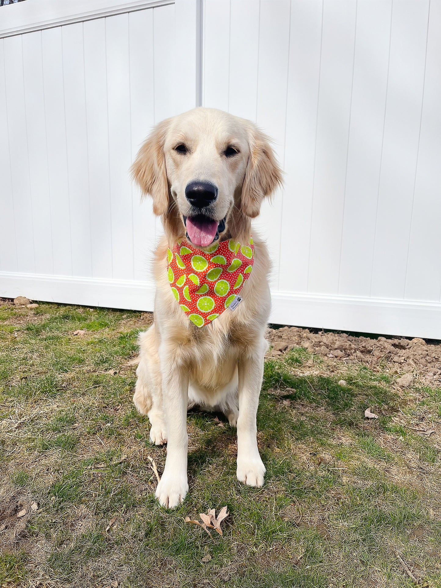 Lime In Orange Dot and Gingham Lemon Bandana