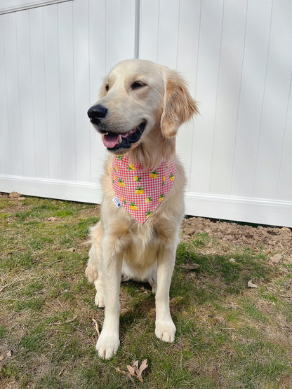 Lime In Orange Dot and Gingham Lemon Bandana