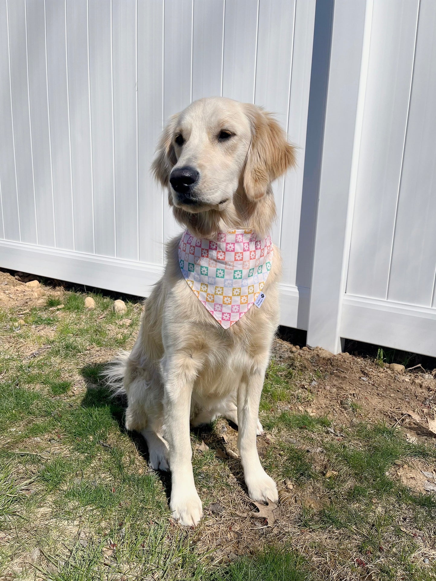 Spring Checkerboard Floral and Rainbow Heart Bandana