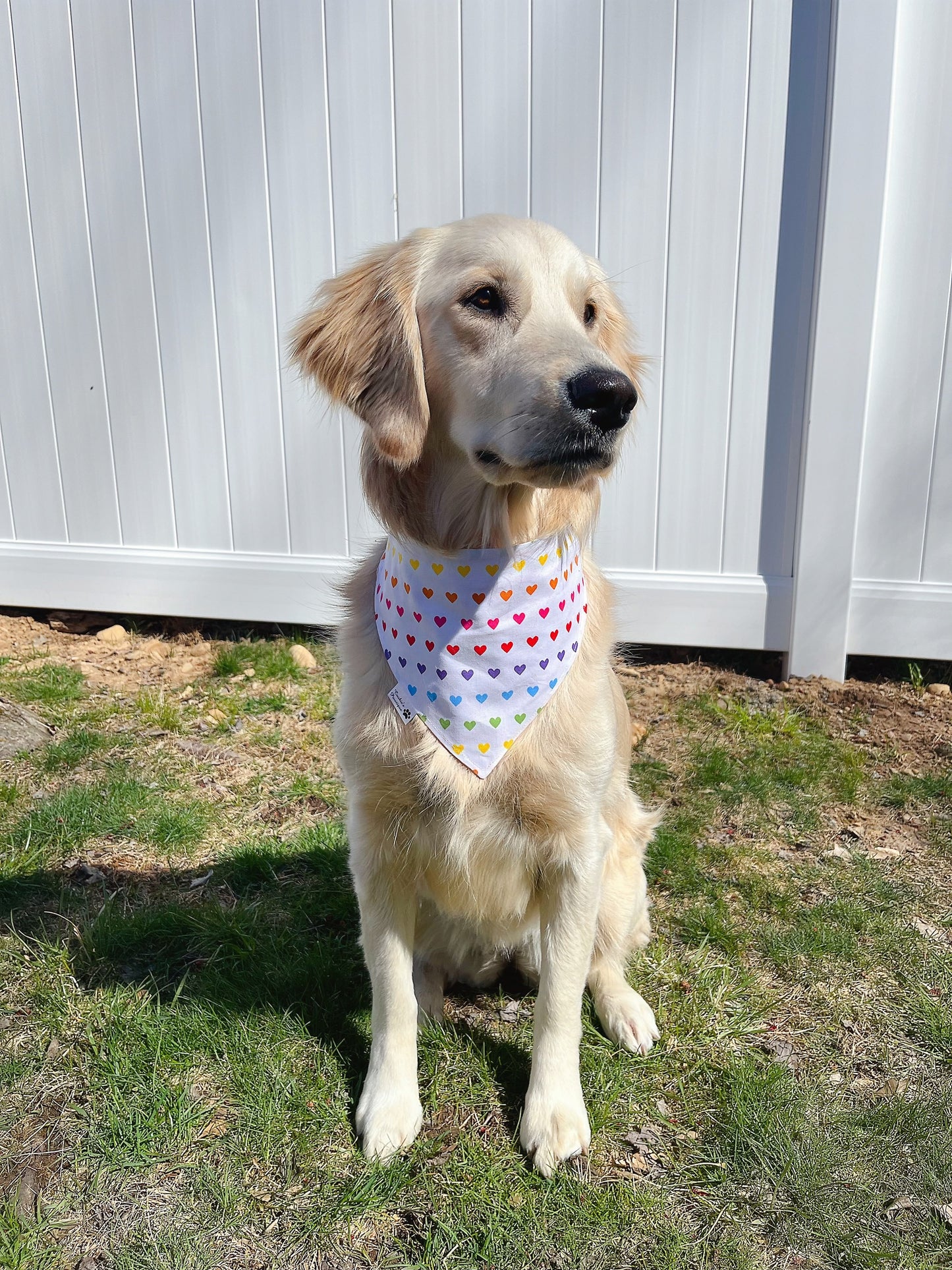 Spring Checkerboard Floral and Rainbow Heart Bandana