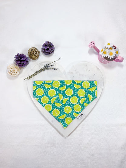 Lime In Green Dot and Gingham Peach Bandana