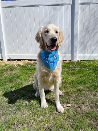 Shark and Sailboat Bandana