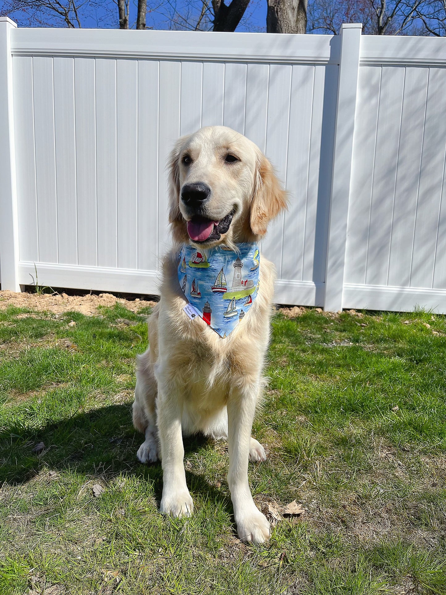 Shark and Sailboat Bandana