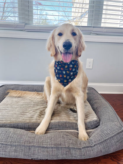 Fun Doggy Beer Can Bandana - Retro Blue