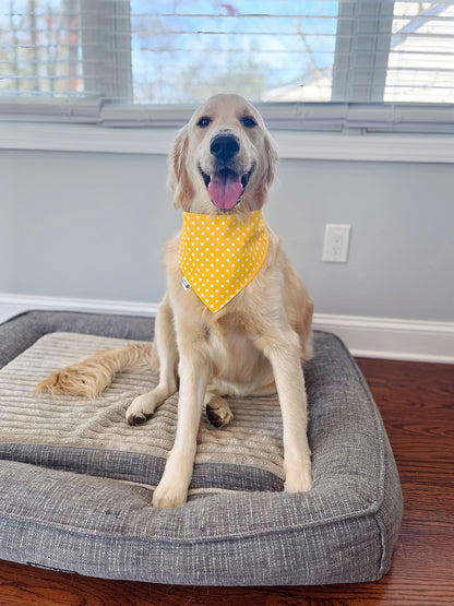 Fun Doggy Beer Can Bandana - Yellow