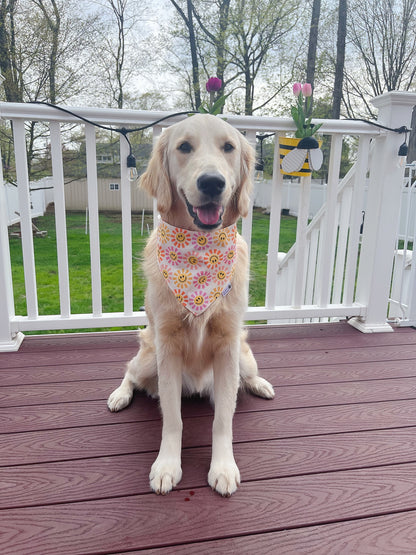 Shining Smiley Suns And Flowers Bandana