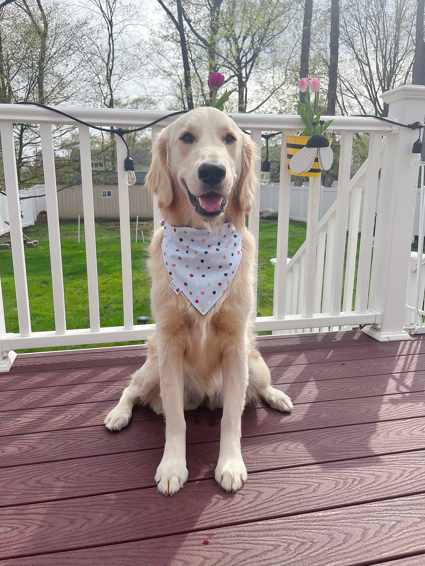 It's My Pawty Bandana - Blue