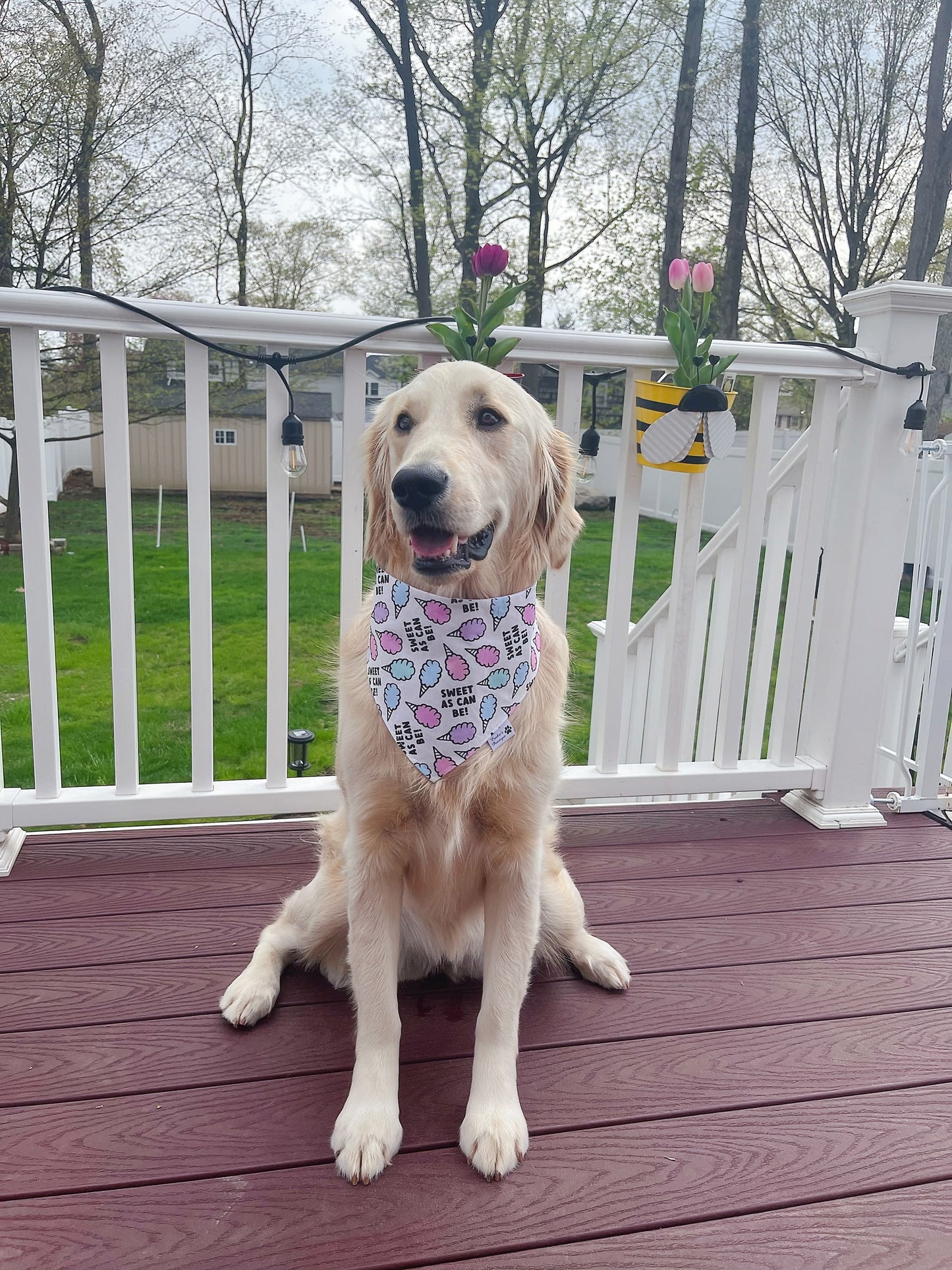 Sweet As Can Be Cotton Candy Bandana