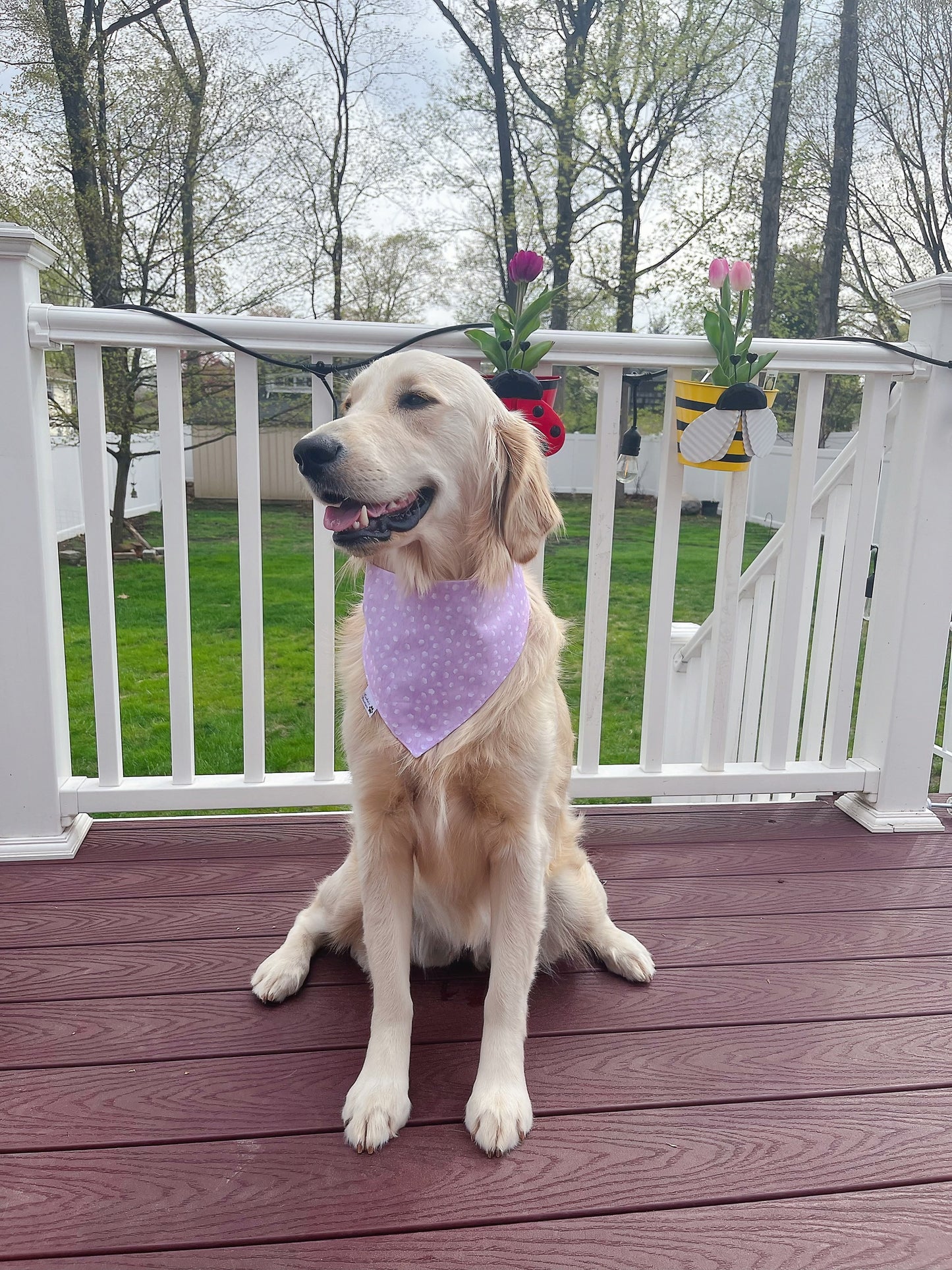 Sweet As Can Be Cotton Candy Bandana