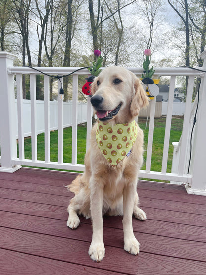 Kiwi All Over Bandana