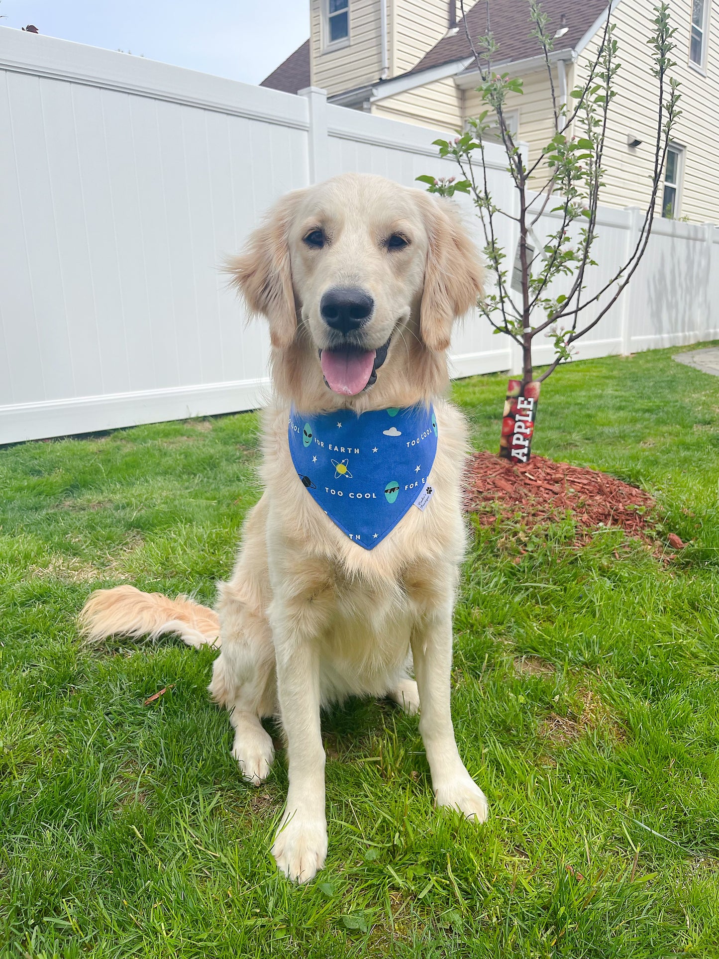 Too Cool For Earth Bandana