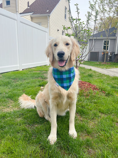 Too Cool For Earth Bandana